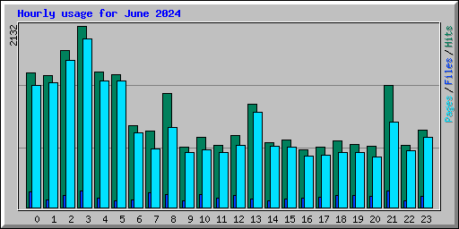 Hourly usage for June 2024