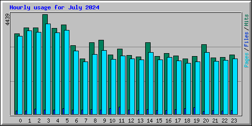 Hourly usage for July 2024